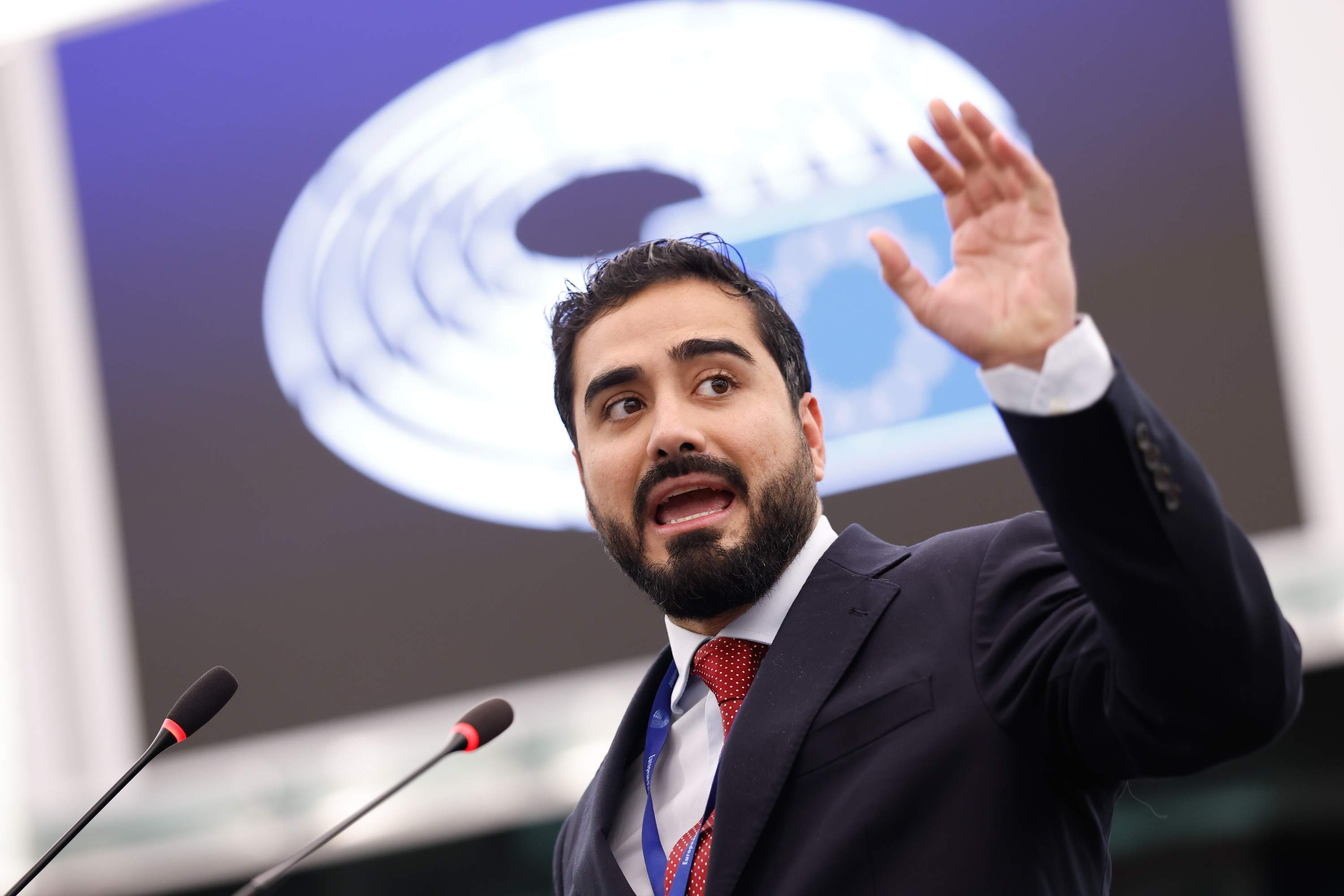 Alvise Perez, Parlament Europeu