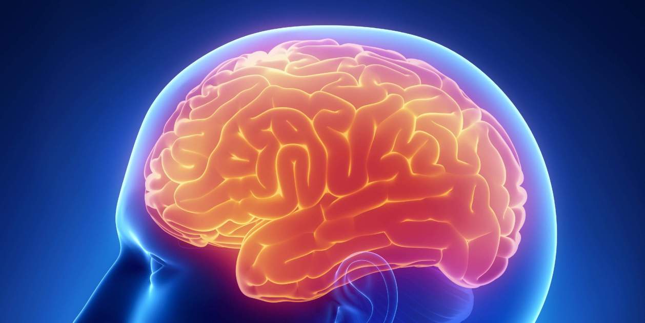 Científicos podrían haber encontrado "un interruptor" en el cerebro para "apagar" el dolor