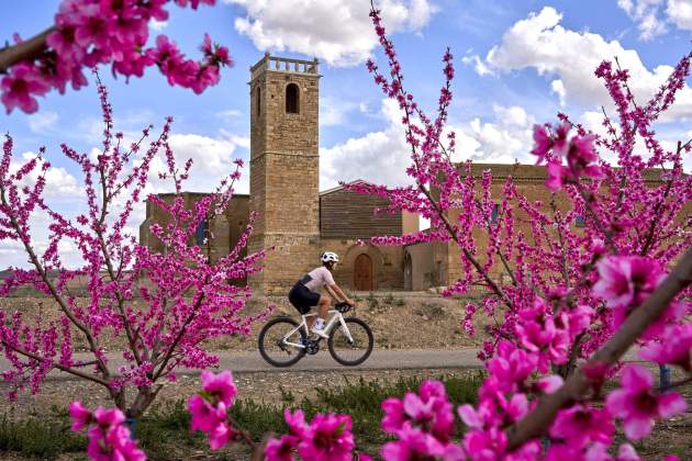 Arxiu Ara Lleida / Guillem Riera