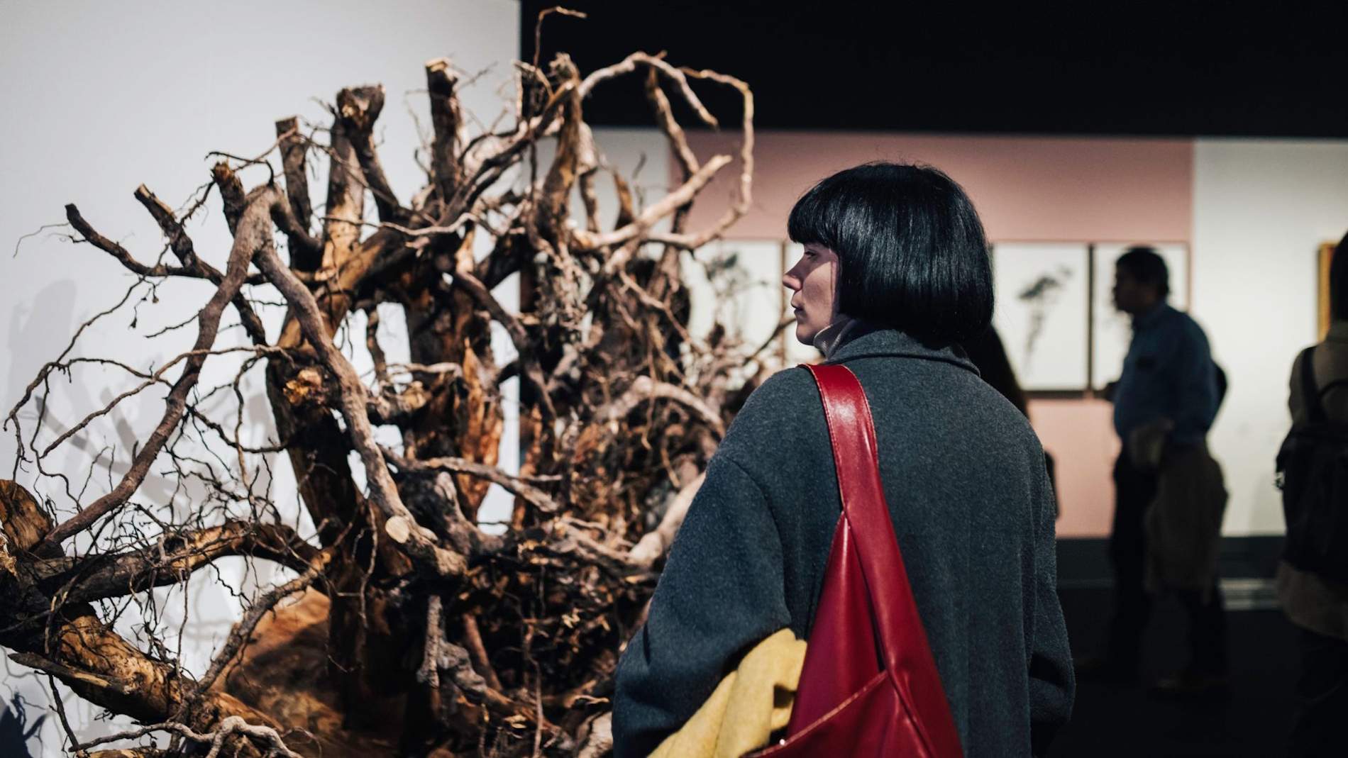 Exposició Rodoreda, un bosc