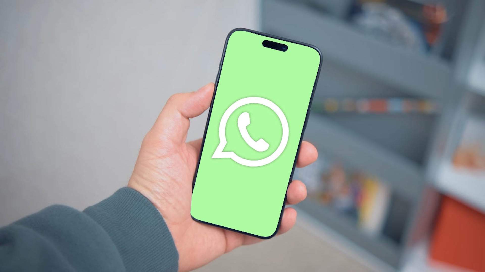 WhatsApp acaba d'eliminar aquesta funció i estic segur que no te n'has adonat