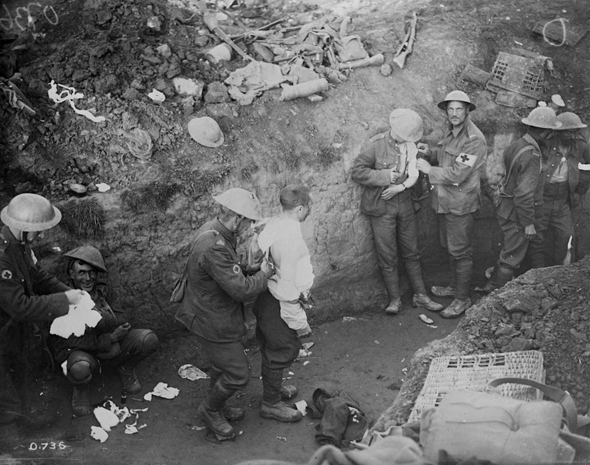 De la nefritis de trinxera al brot del creuer MV Hondius: origen i expansió dels hantavirus