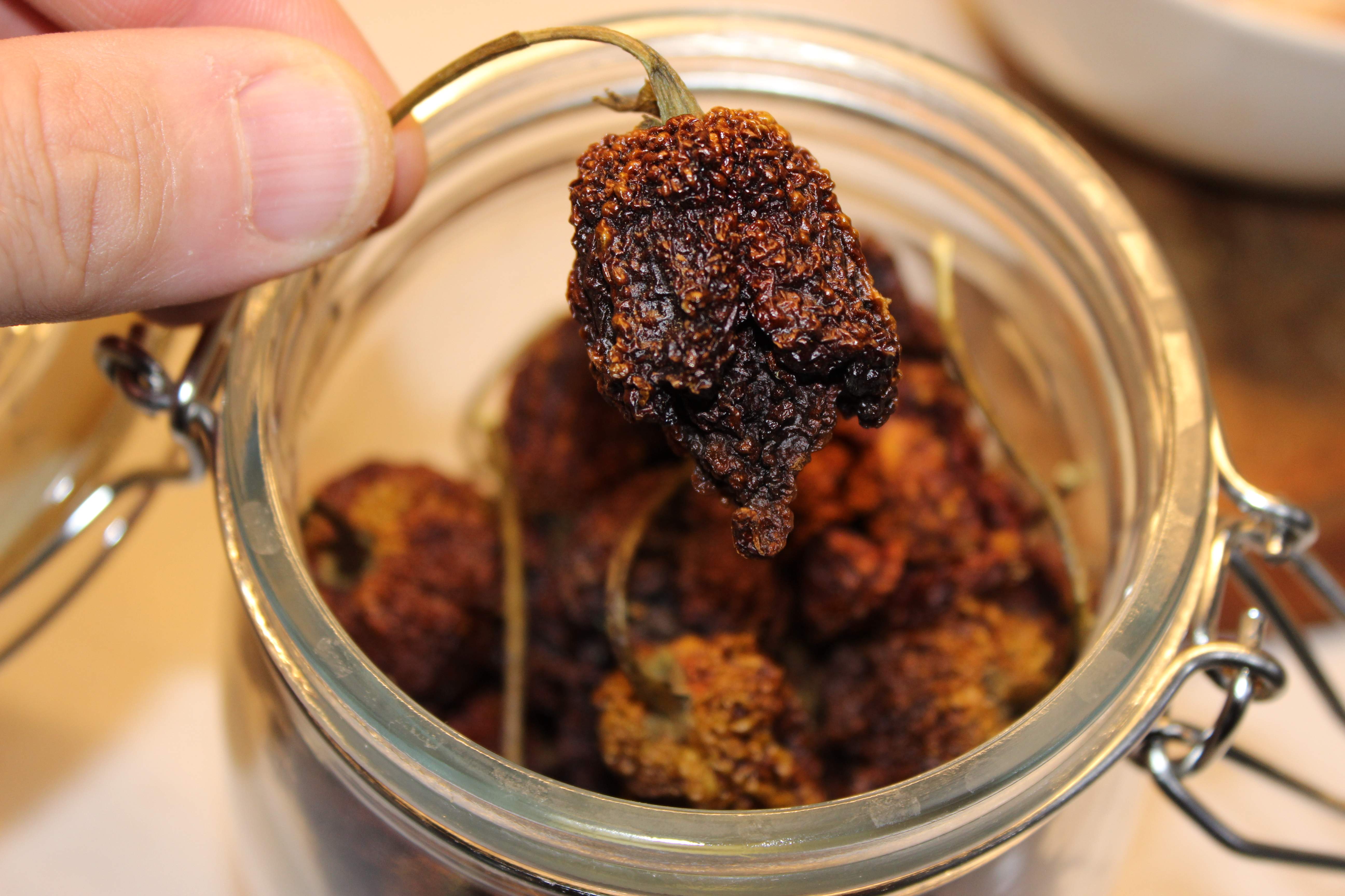 carolina reaper