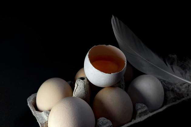 Ous. Foto: Pexels
