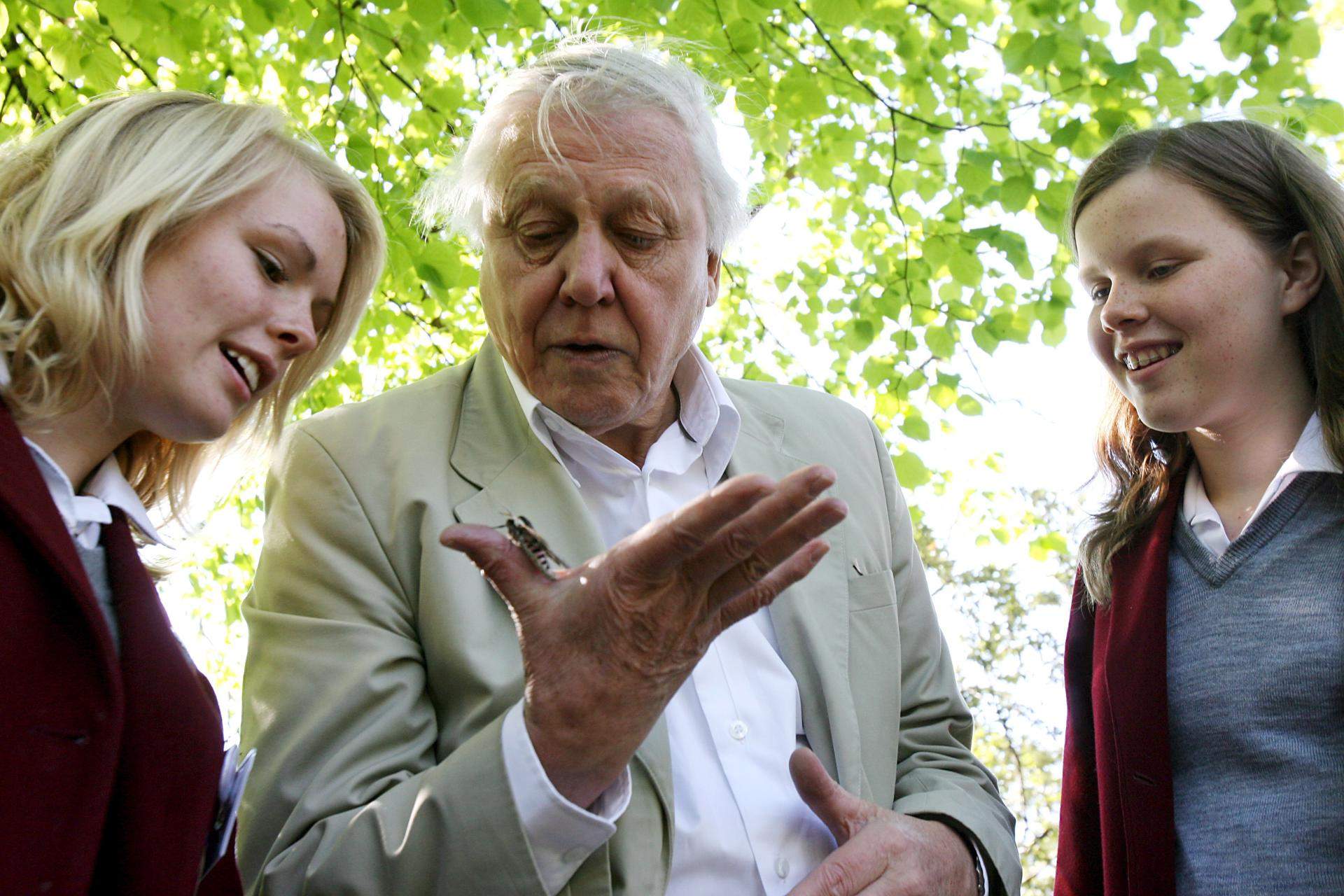 David Attenborough, el guardià de la natura i "tresor nacional" britànic, compleix 100 anys