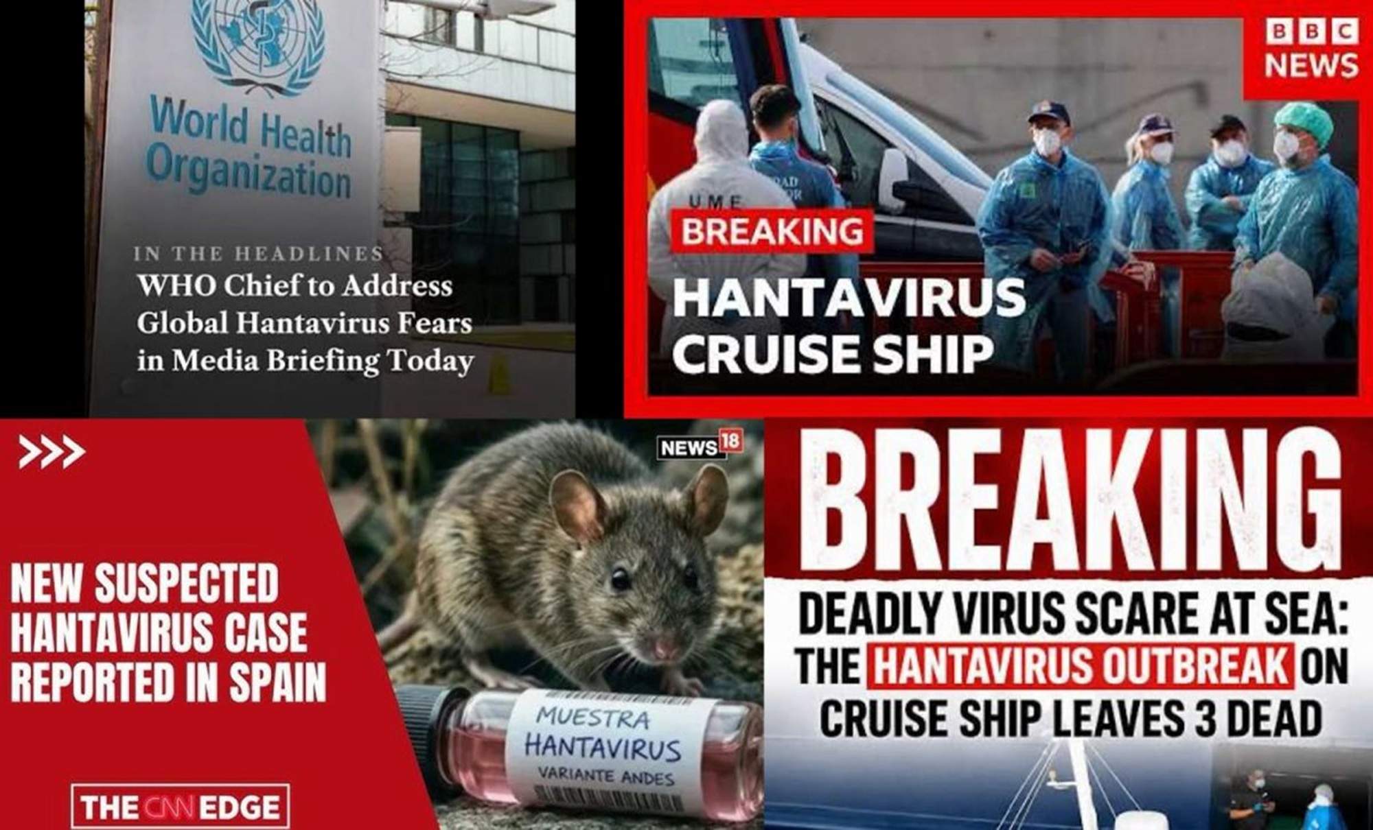 El Instituto Coordenadas destaca que el vaixell amb hantavirus ha col·locat les Canàries en el focus mediàtic