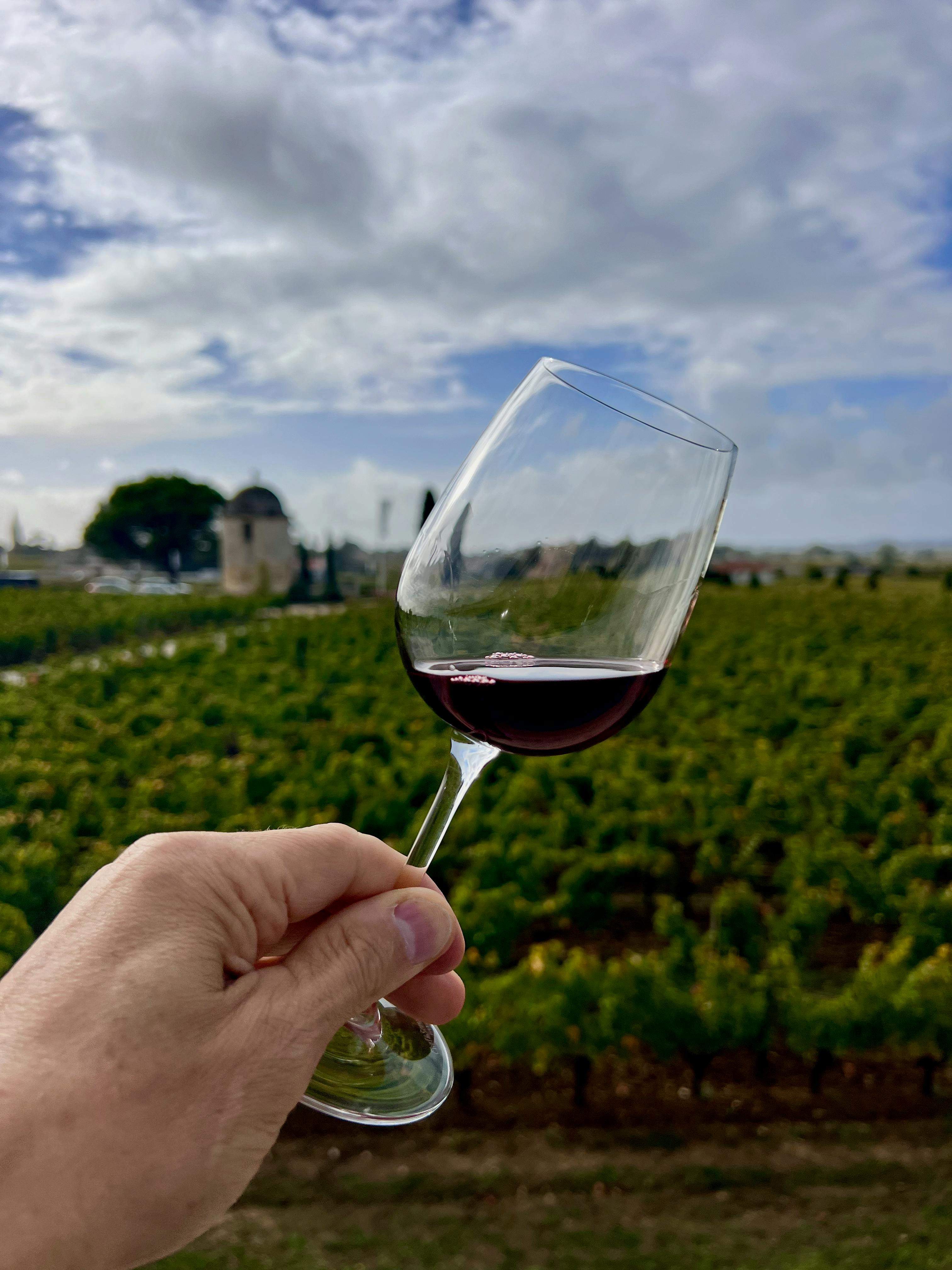 Las uvas son mucho más que una fruta y las puedes convertir en los mejores cubitos para el vino