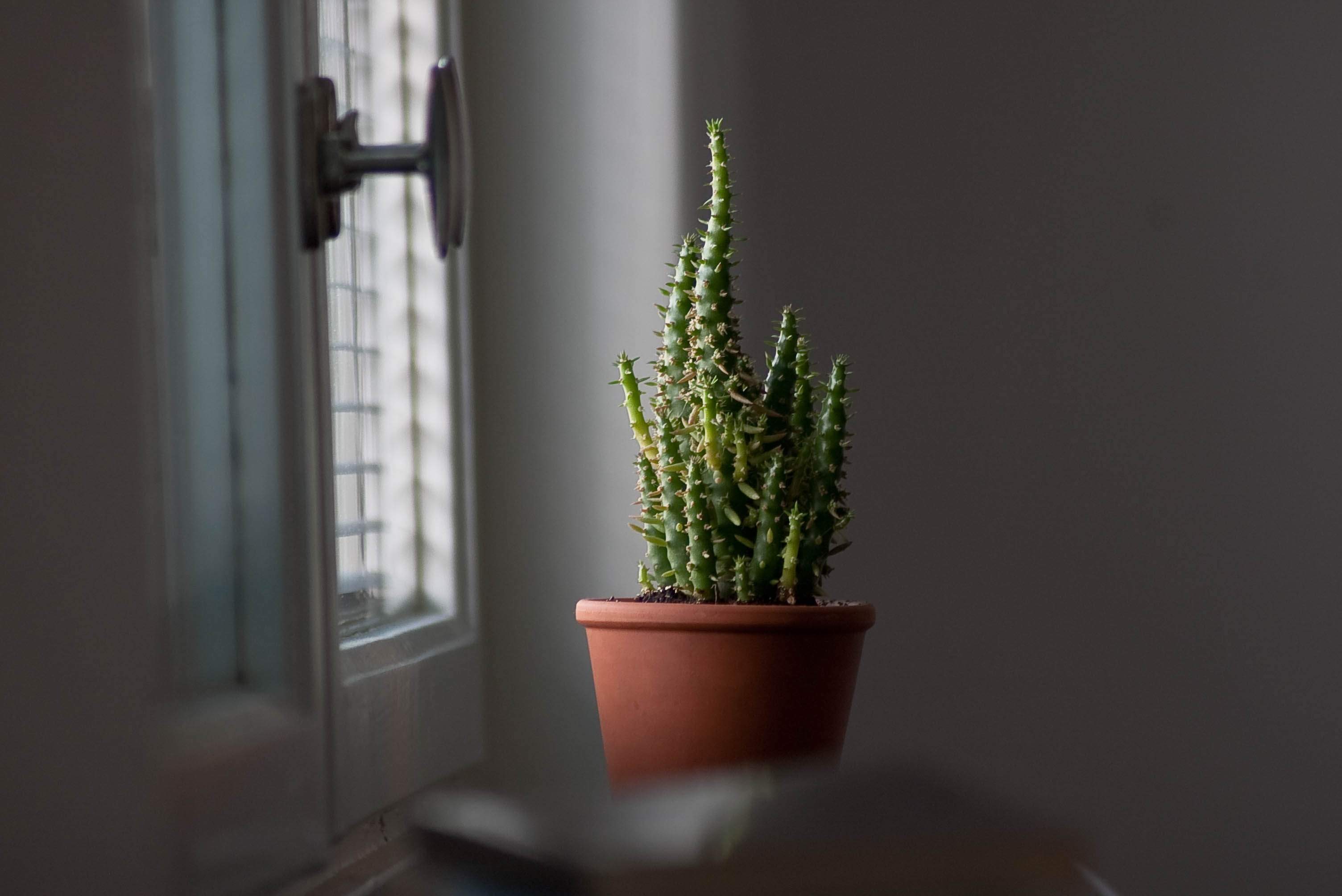 El curioso truco de la cuchara en la ventana que muchos usan contra la humedad