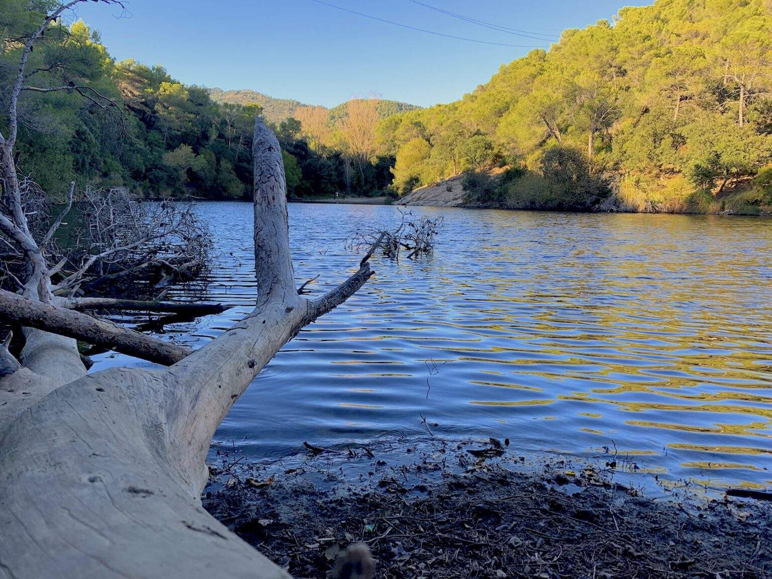 La ruta de Terrassa que s’ha fet viral: llac, rierol, bones vistes i històries de fantasmes