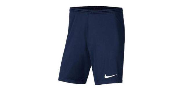 Nike Mens Dry Park