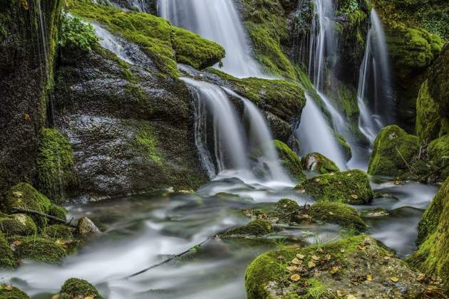 Imatge de les Fonts del Llobregat / Foto: Catalunya Turisme