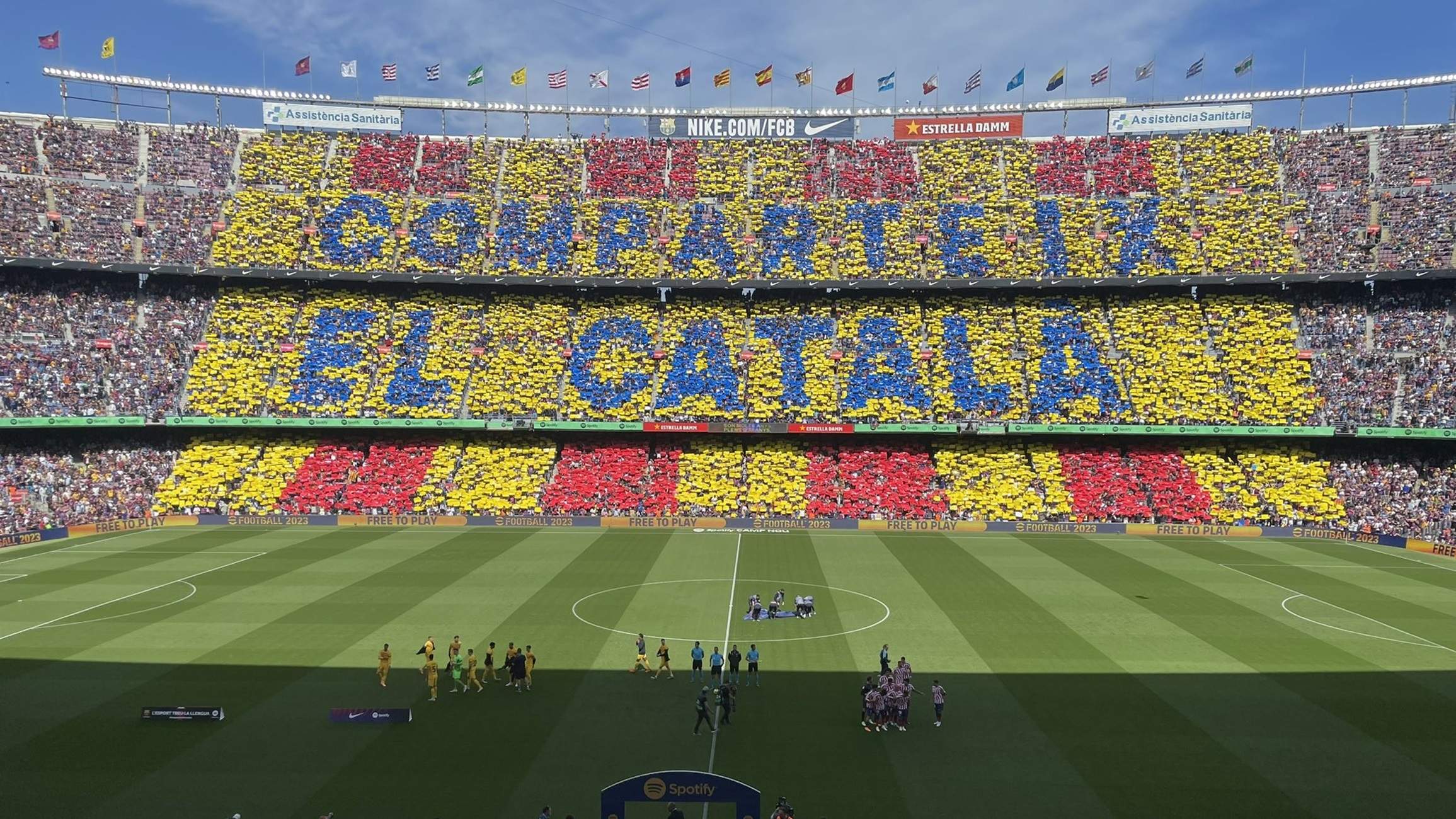 La UFEC reclama un Pacte Nacional per la Llengua més ambiciós i compromès amb l’esport per poder sumar-s’hi