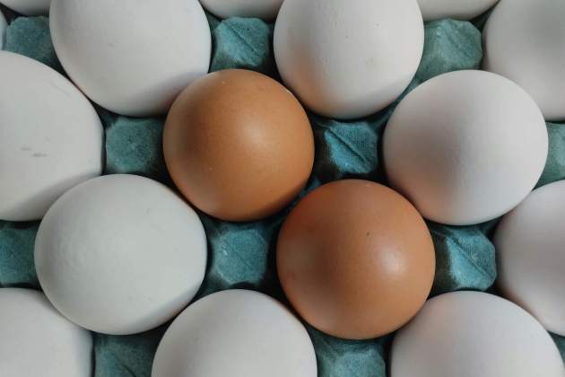Huevos. Foto: Pexels Huevos. Foto: Pexels