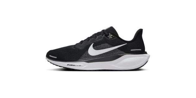 Nike Men's Pegasus 41