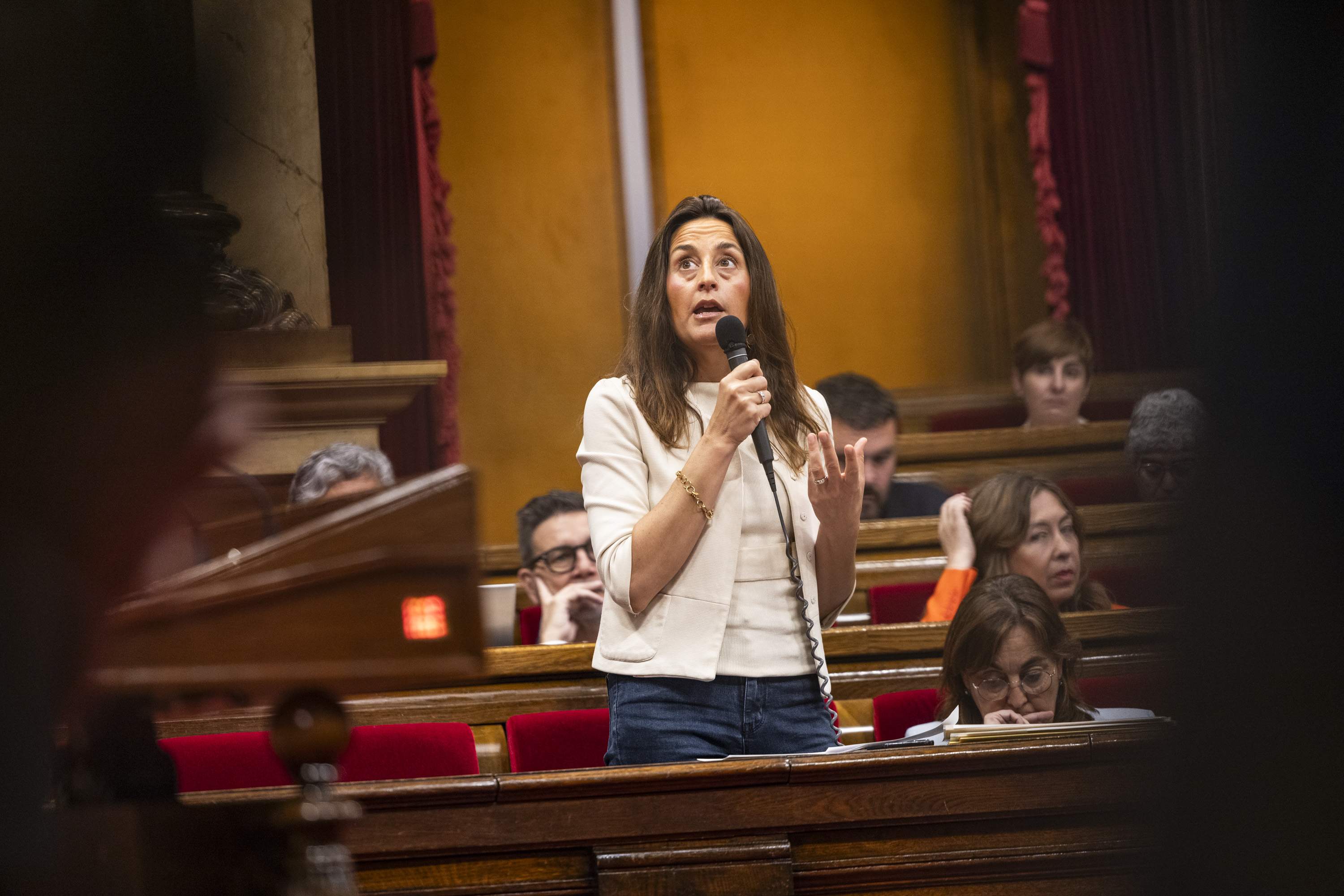 Niubó defensa flexibilitzar temporalment el C2 de català per garantir prou docents i ERC colla el Govern