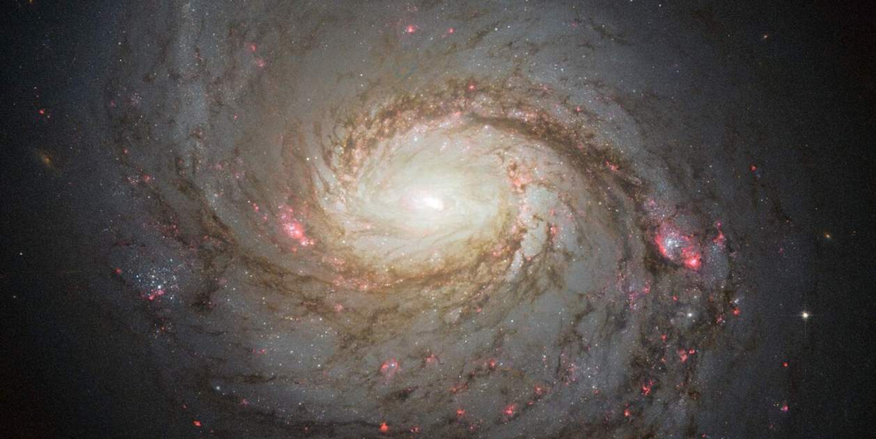 La Galaxia del Calamar: así es uno de los lugares más voraces del Universo