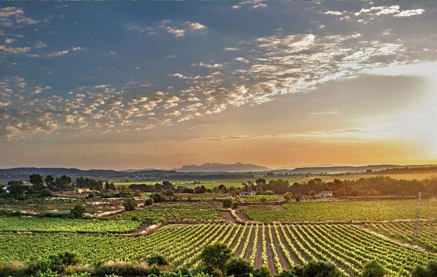 Tres pobles amb encant al Penedès que has de conèixer: llacs, vinyes i una vila medieval