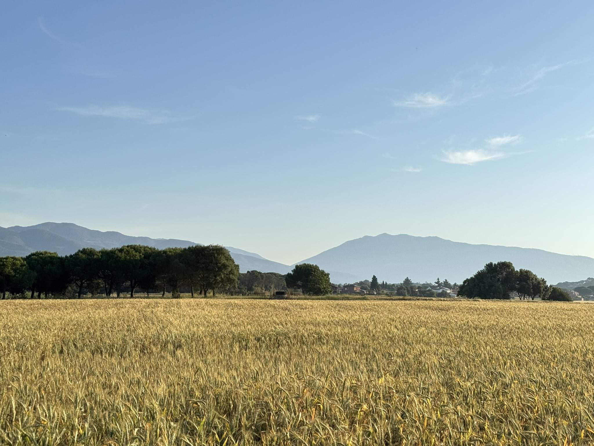 Quan baixaran les temperatures a Catalunya? El maig acabarà amb sol i més calor