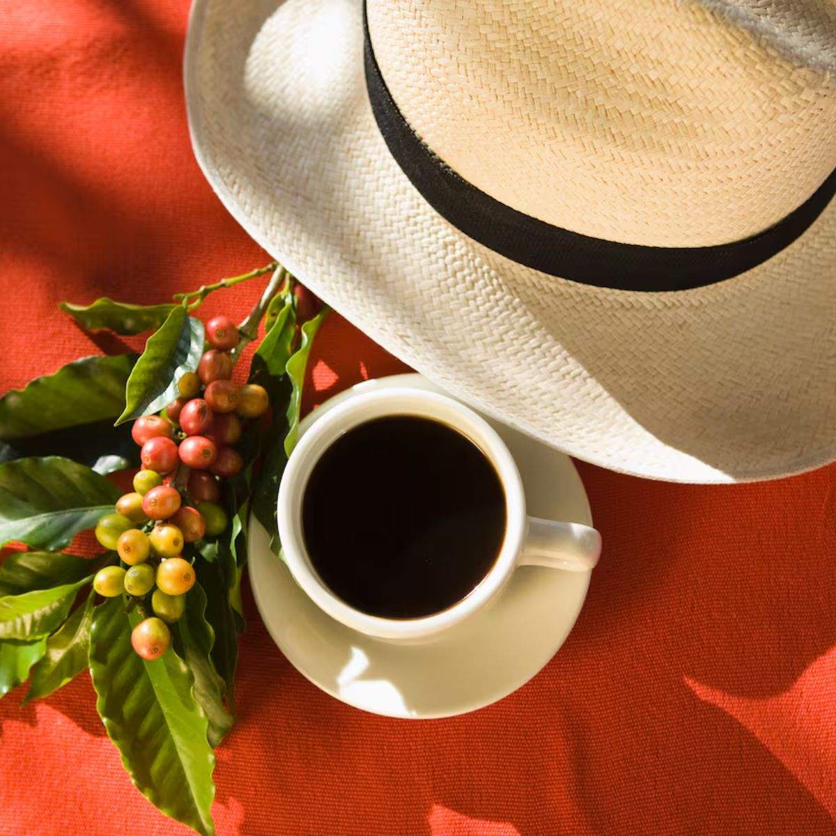 La cafetera Ufesa que triomfa a Amazon, encaixa en cuines petites i prepara cappuccinos baixa a menys de 60 €