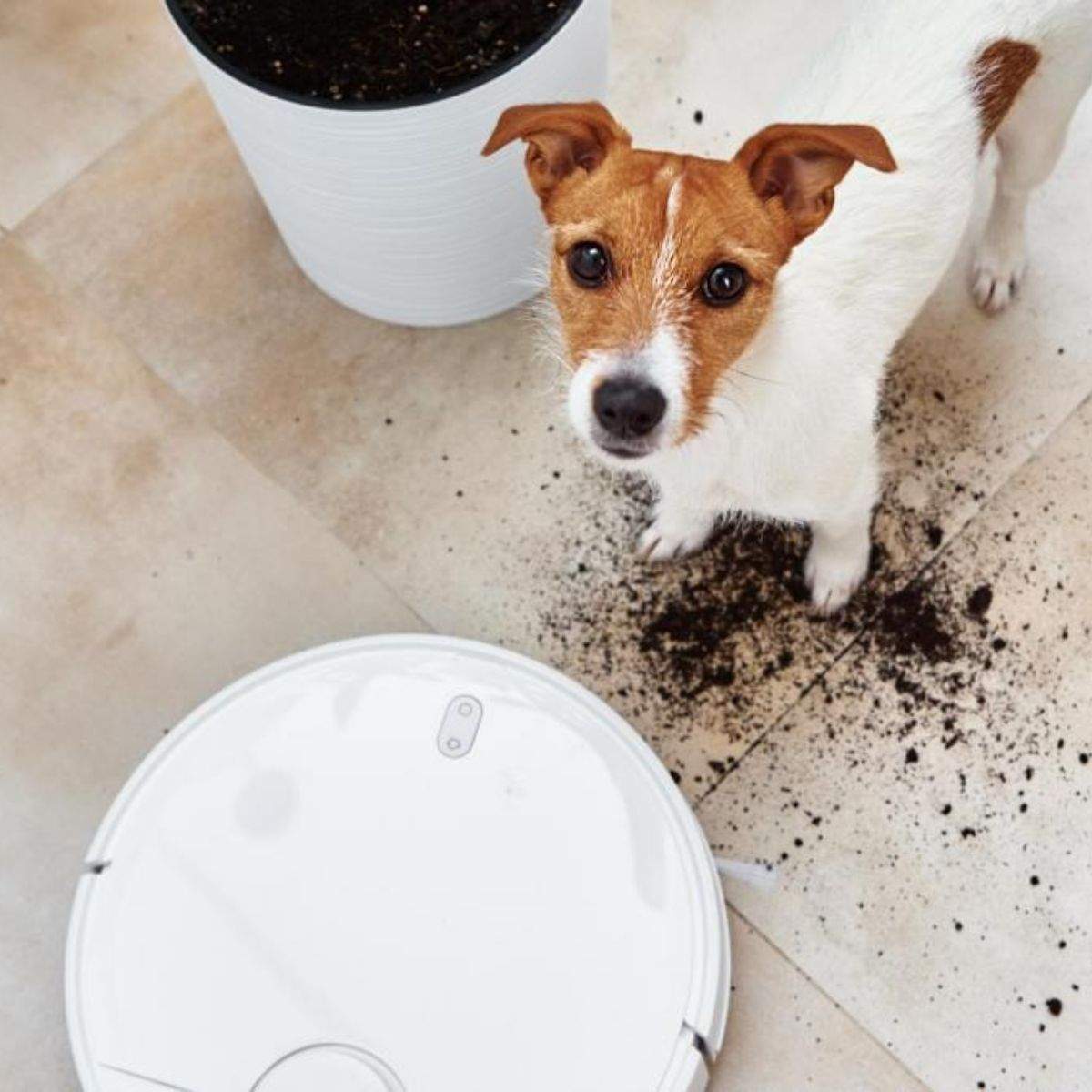 Pèl de gos o de gat per tot arreu? Aquest robot aspirador de Lefant per a cases amb mascotes a preu mínim