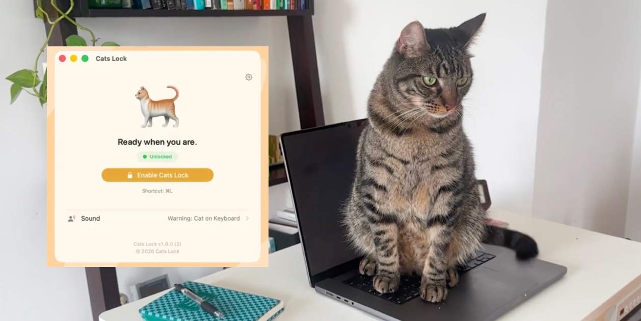 Si tienes gatos y un Mac, esta es la app que tienes que descargar
