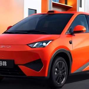 BYD Dolphin Surf