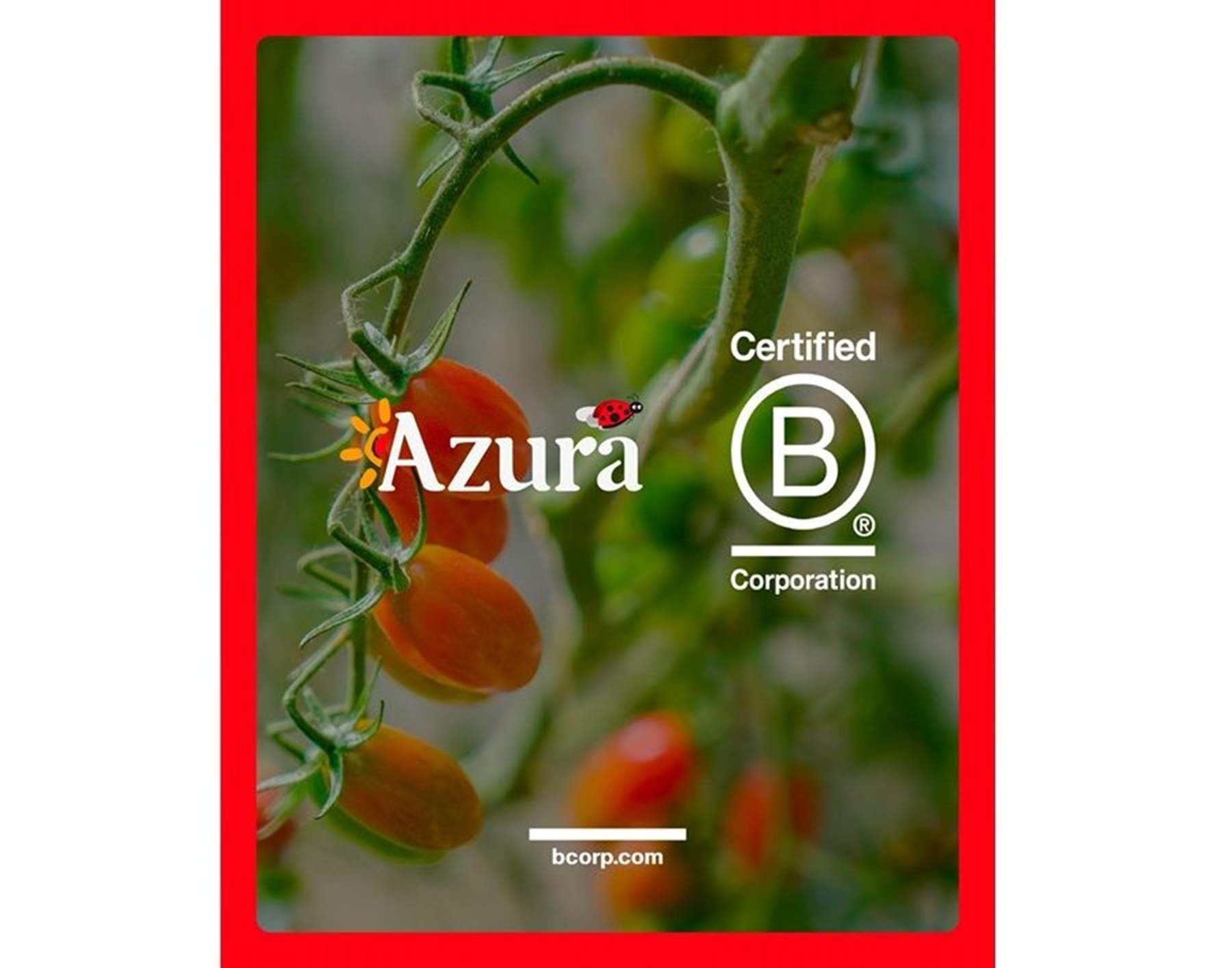 Azura obté la certificació B Corp per a les seves entitats que operen el seu negoci de tomàquets cherry