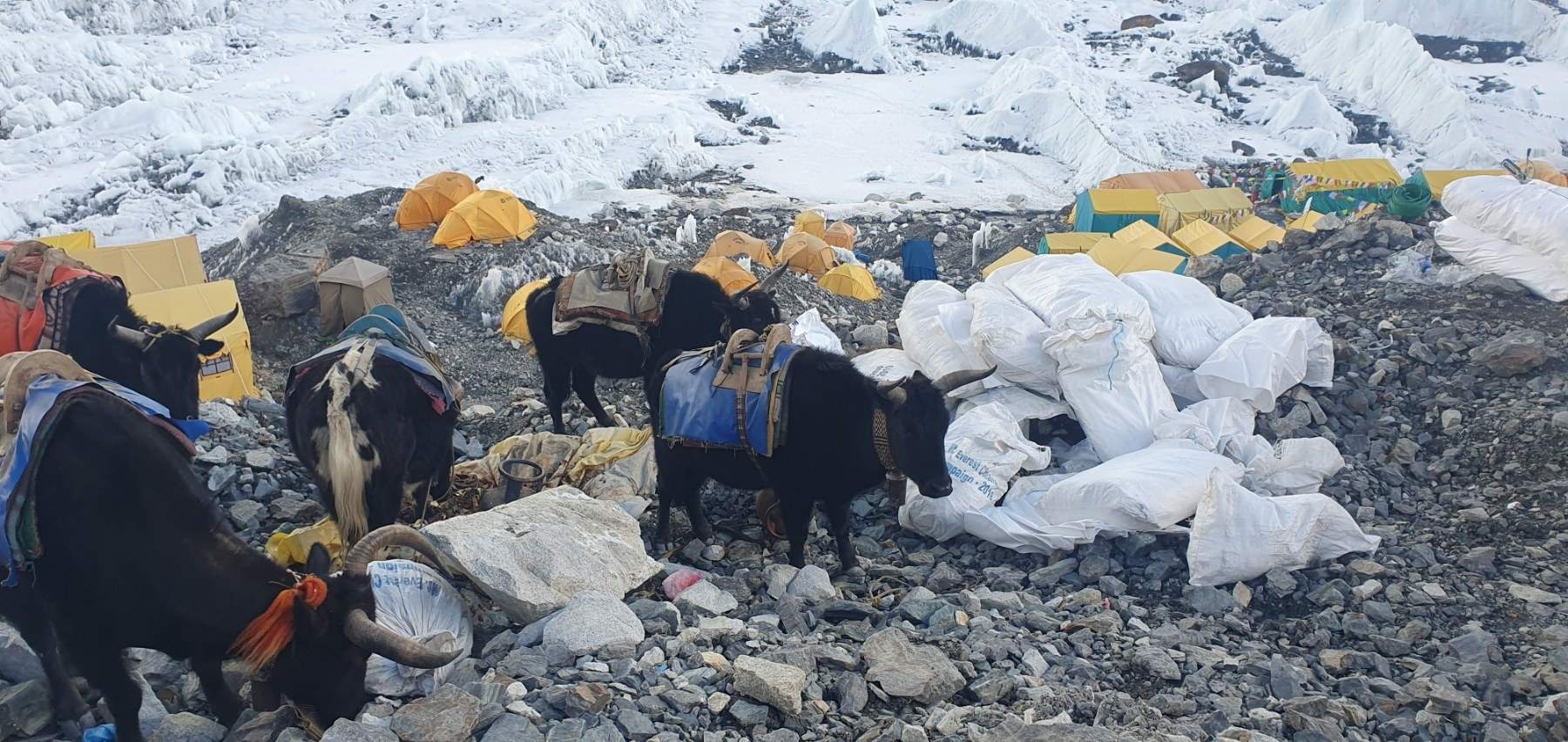 L'Everest, convertit en un abocador a gairebé 8.000 metres d'altitud | VÍDEO