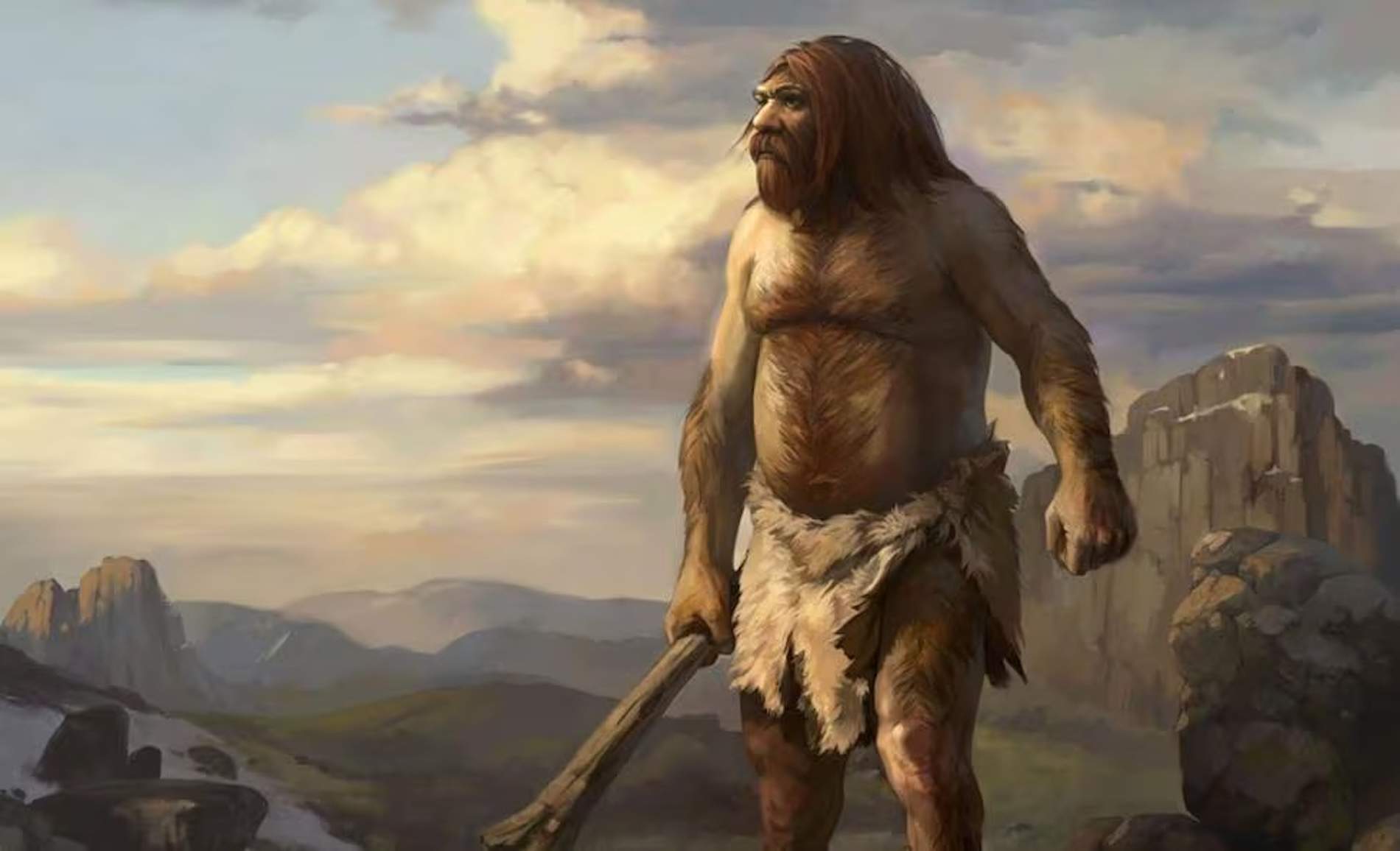 Científics podrien resoldre un enigma de la nostra evolució: per què es van extingir els neandertals?