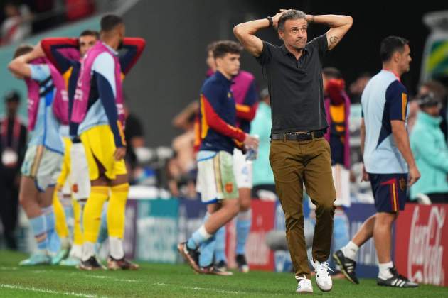 Luis Enrique quan va ser entrenador de la selecció espanyola / Gtres