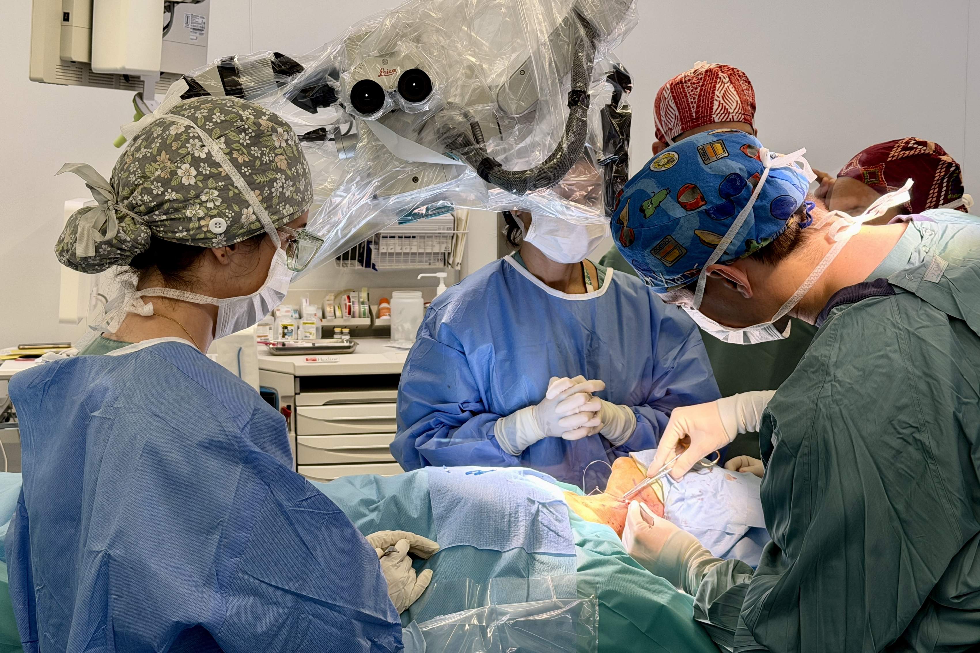 Cirurgia contra l'Alzheimer: Can Ruti estudia una nova via t