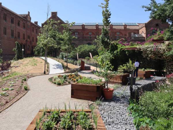 Hort kalida Sant Pau Fundació Ferrer Green for Good Hort kalida Sant Pau Fundació Ferrer Green for Good