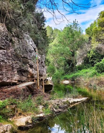 La ruta amb passarel·les i salts d’aigua que enamora els excursionistes: un tresor al Pont d’Armentera