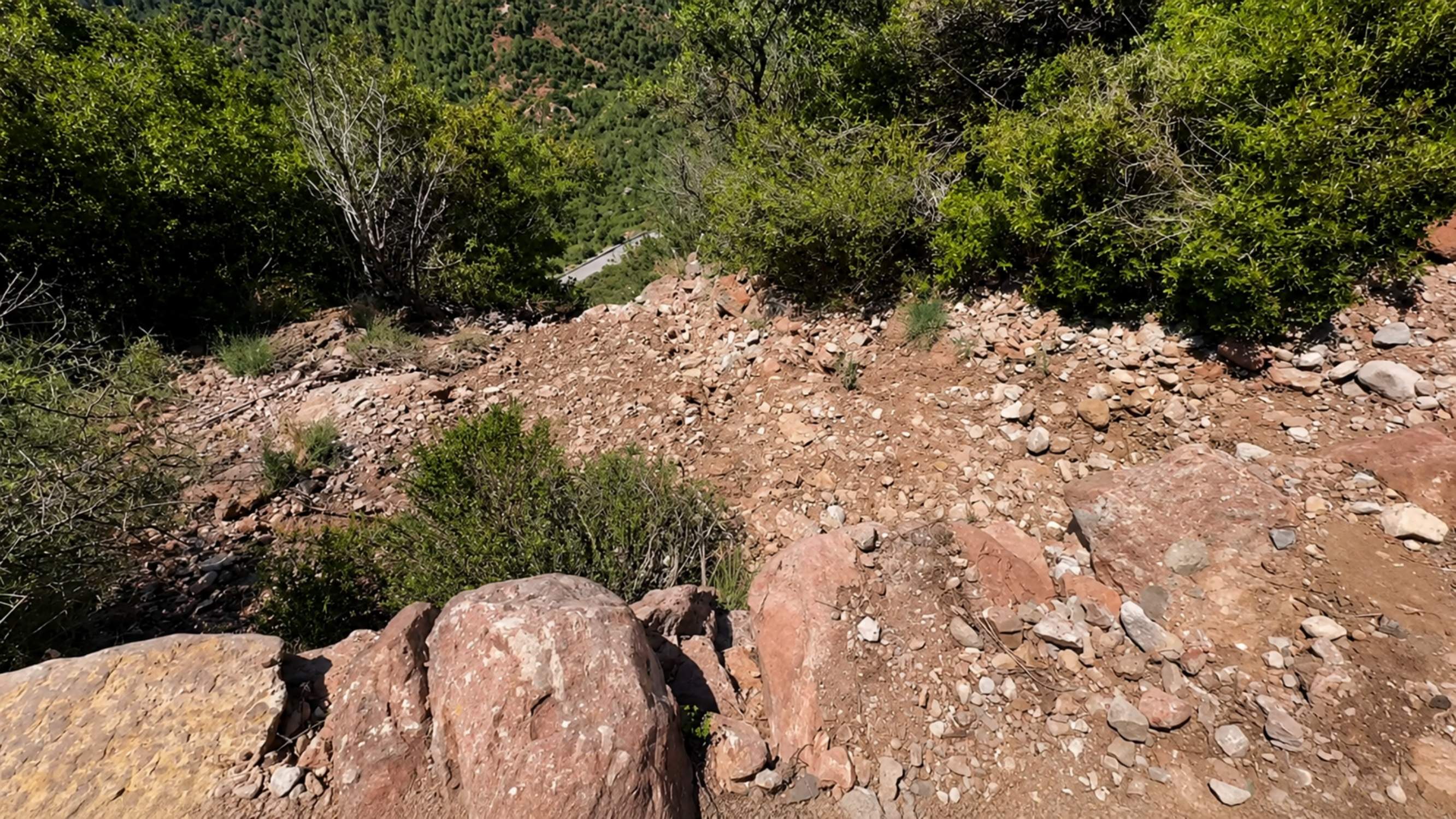 Isak Andic estava aturat i no feia fotos quan es va precipitar a Montserrat, segons els Mossos
