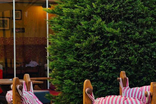 L'estiu és l'època perfecta per estar a la fresca / Foto: Pexels L'estiu és l'època perfecta per estar a la fresca / Foto: Pexels