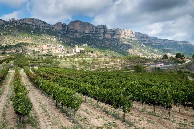 La Morera de Montsant entre vinyes