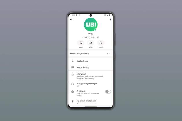 Així llueix el punt verd de WhatsApp Així llueix el punt verd de WhatsApp