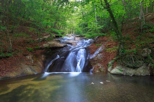 Una imatge del Montseny Una imatge del Montseny