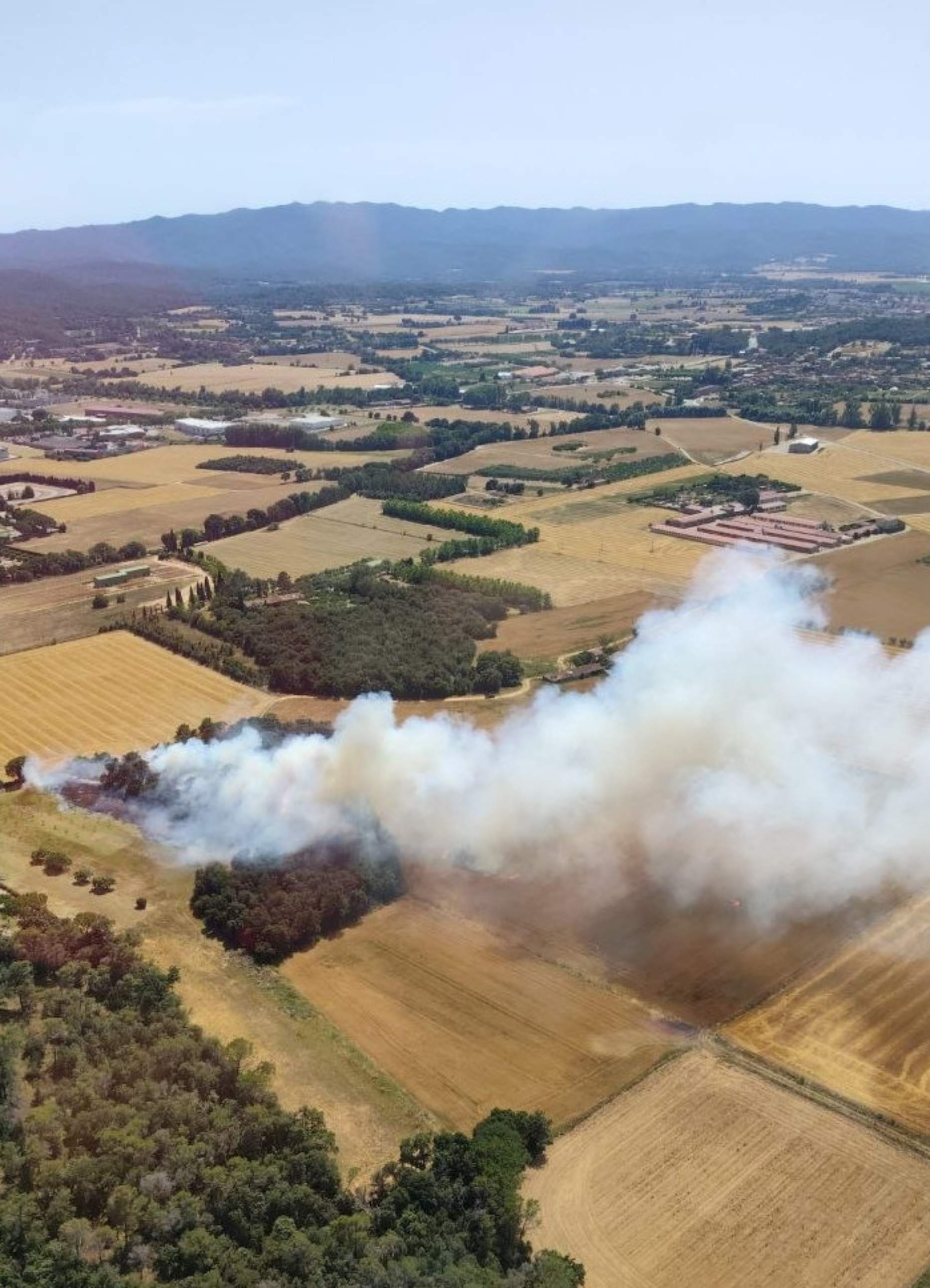 Un incendi en un camp a Forallac obliga a confinar els veïns mentre s'intenta combatre el foc
