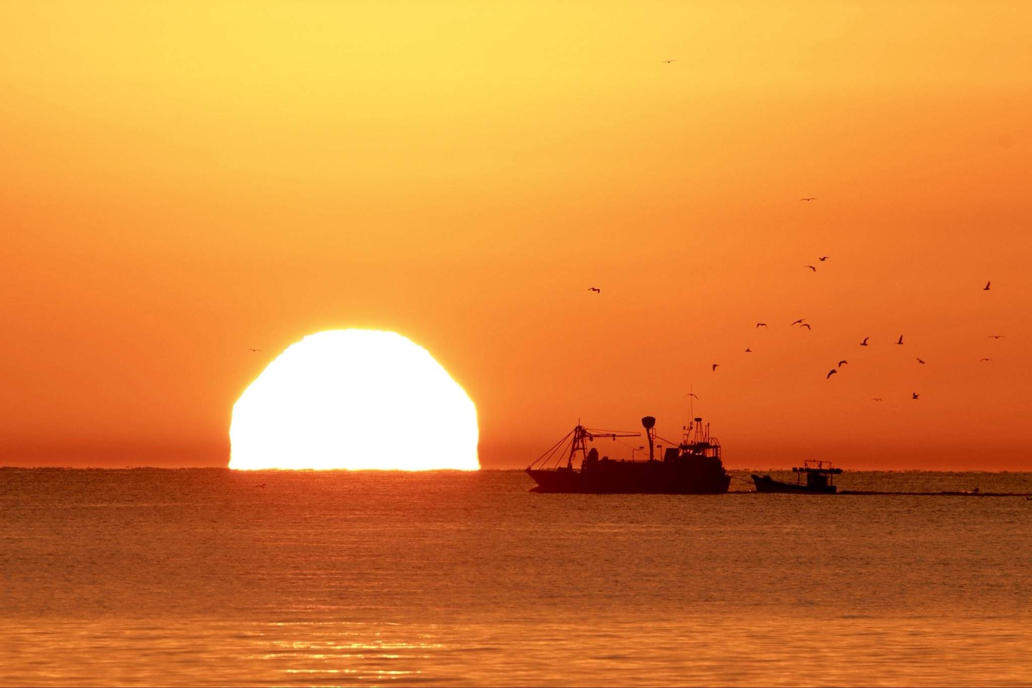Cap de setmana sufocant a Catalunya: el forn saharià portarà temperatures desbocades