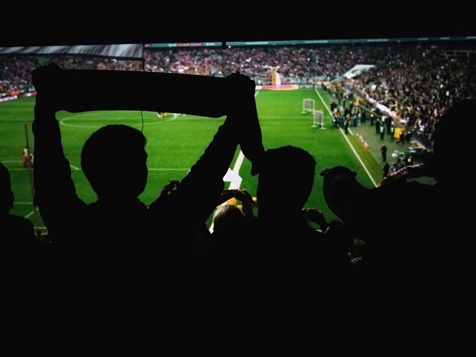 El Congrés aprova una PNL per combatre l'odi en l'esport i reforçar els protocols als estadis
