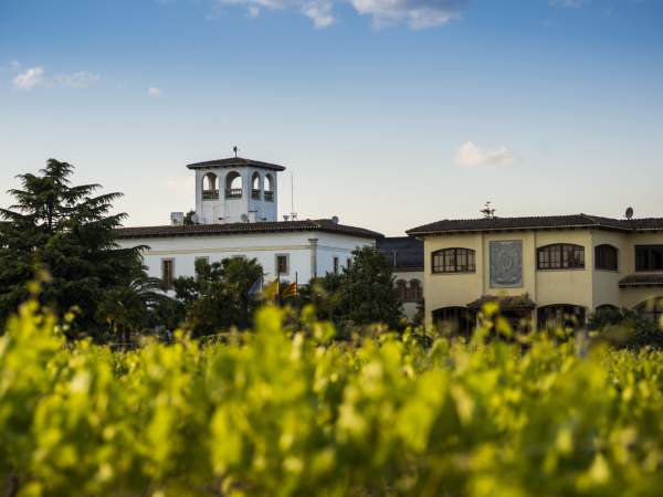 Celler Vallformosa, a Vilobí del Penedès (Barcelona). Celler Vallformosa, a Vilobí del Penedès (Barcelona).