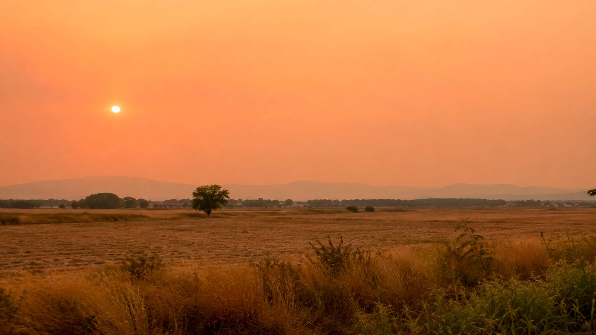 Travesía por el desierto: Catalunya atrapada en una cúpula de calor insoportable