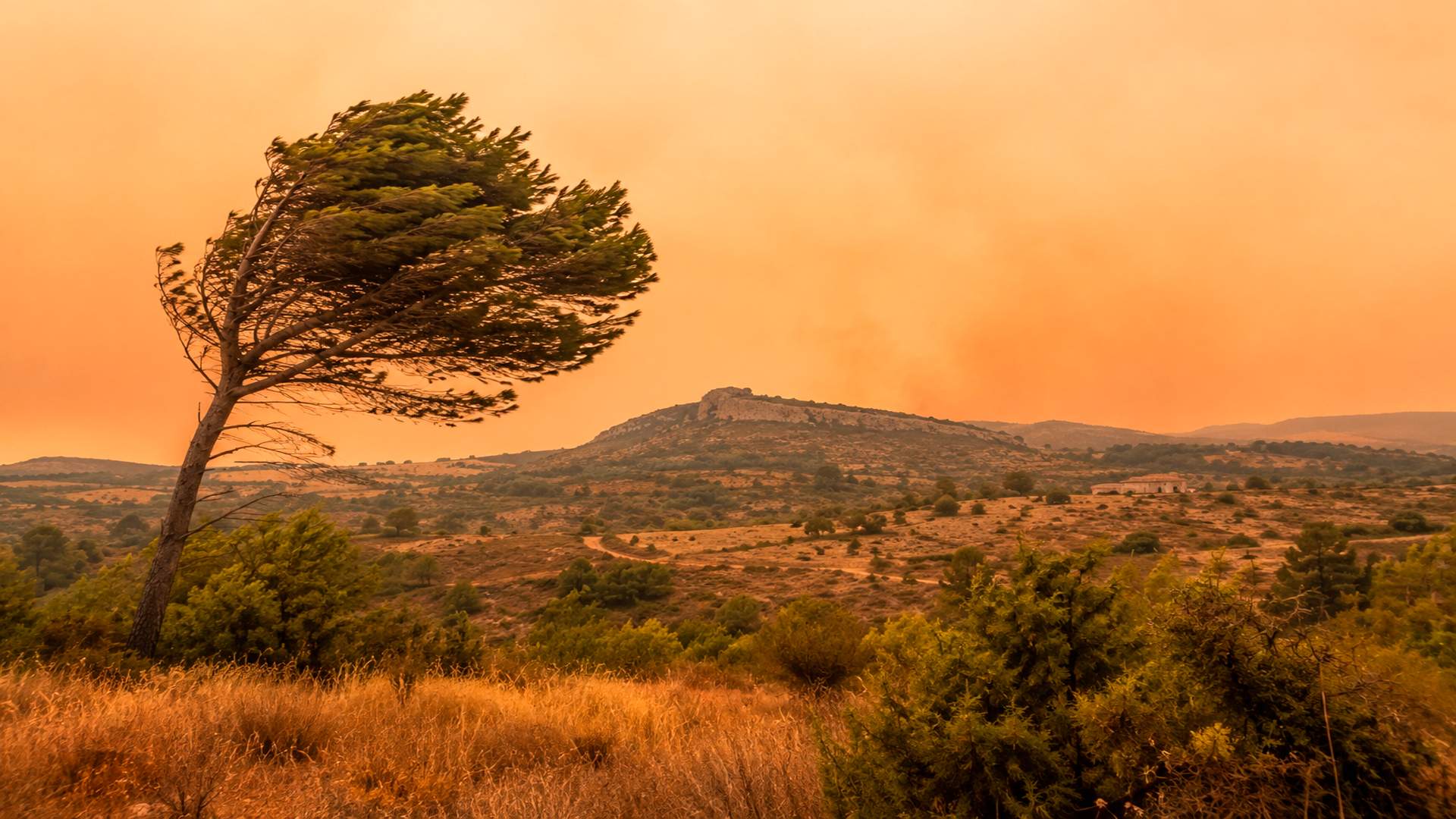 Atención, la tramontana abrasadora dispara el peligro de incendios en esta zona de Catalunya