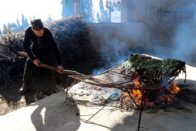 calçots calçotada ACN