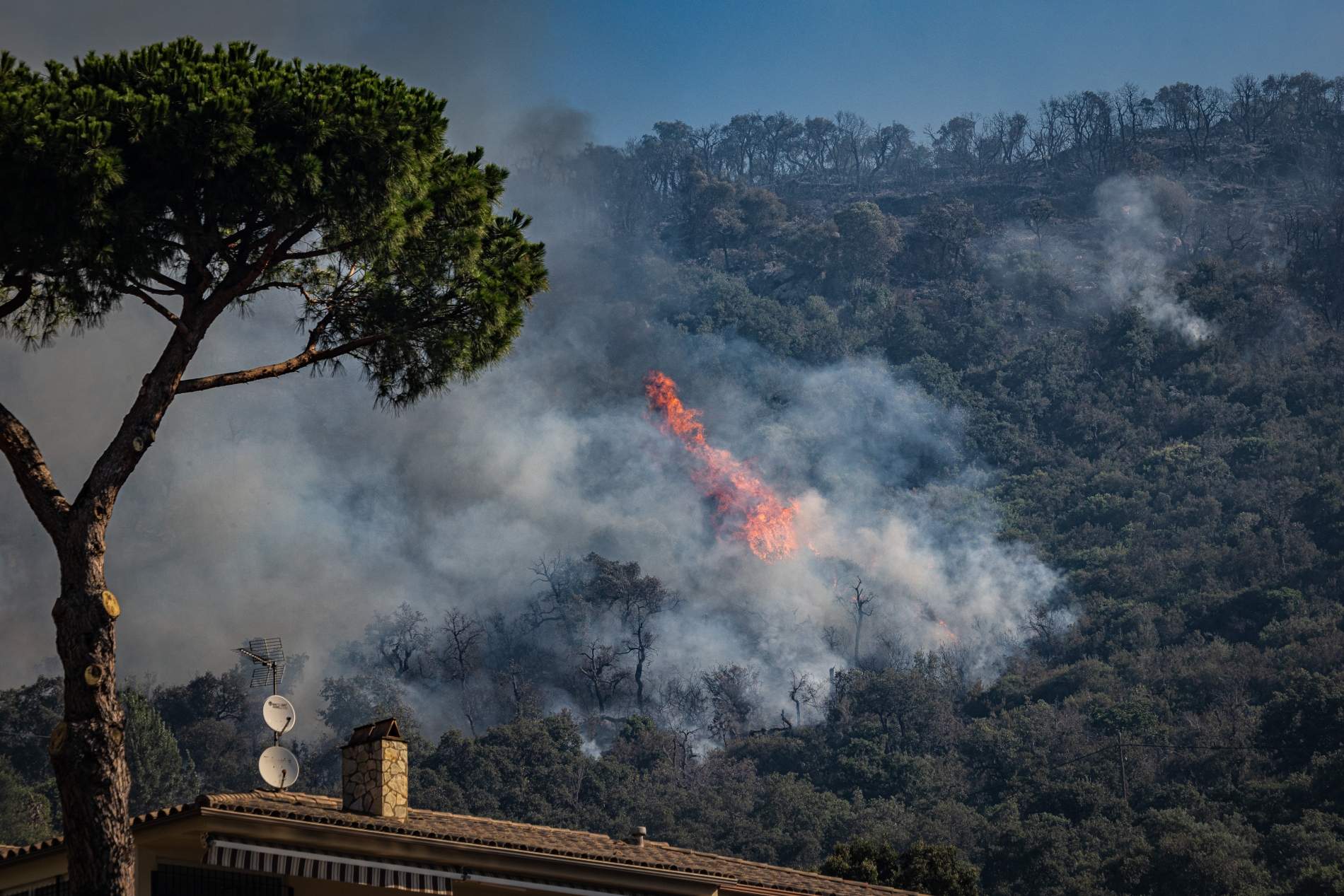 incendi les gavarres incendi les gavarres