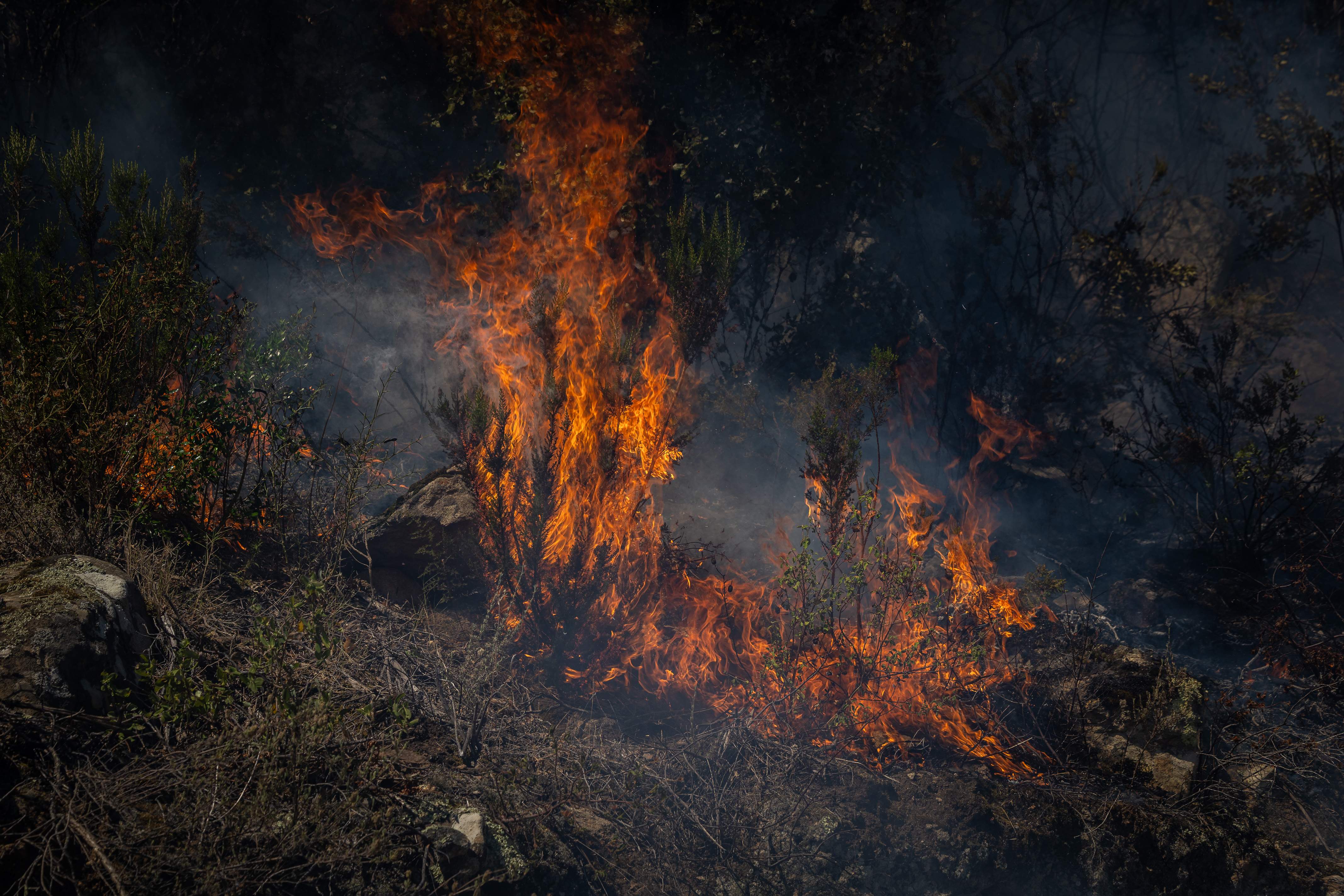 Allau de crítiques per l'abandonament del territori en l'incendi de les Gavarres