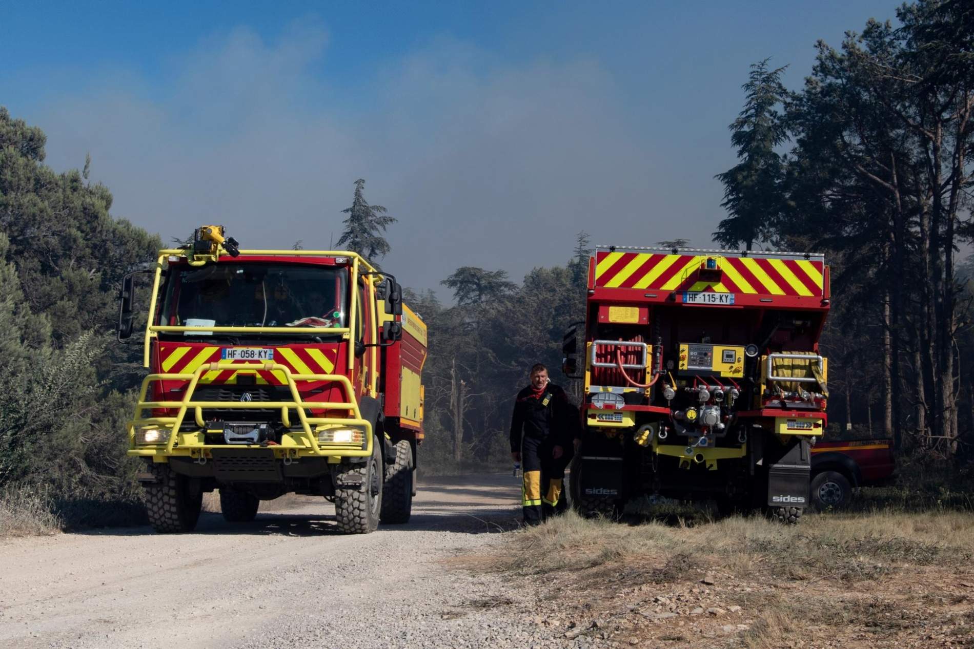 Incendi forestal a la Catalunya Nord: prop de 1.000 hectàrees cremades a Trevillac
