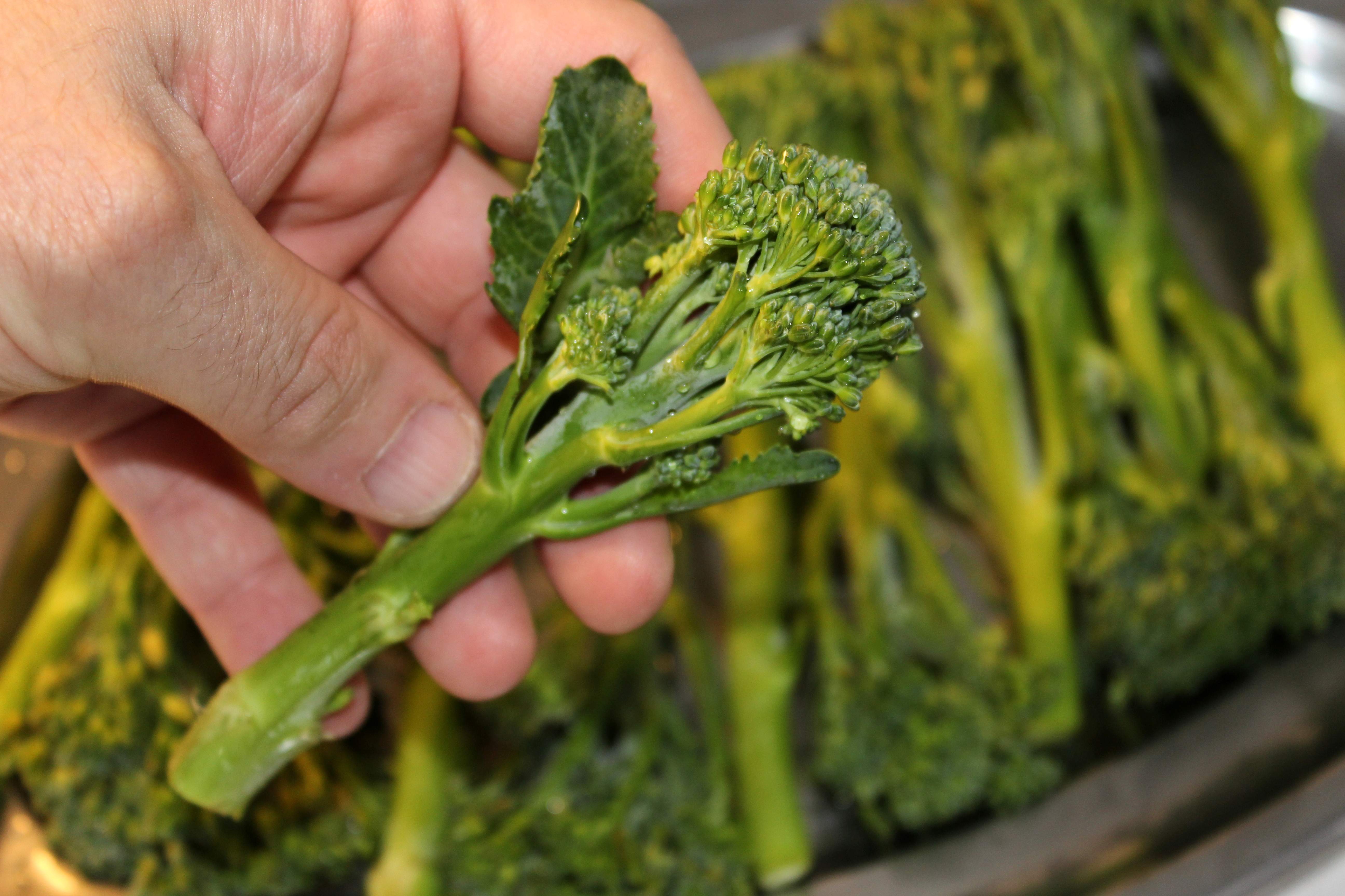 netejar broccolini