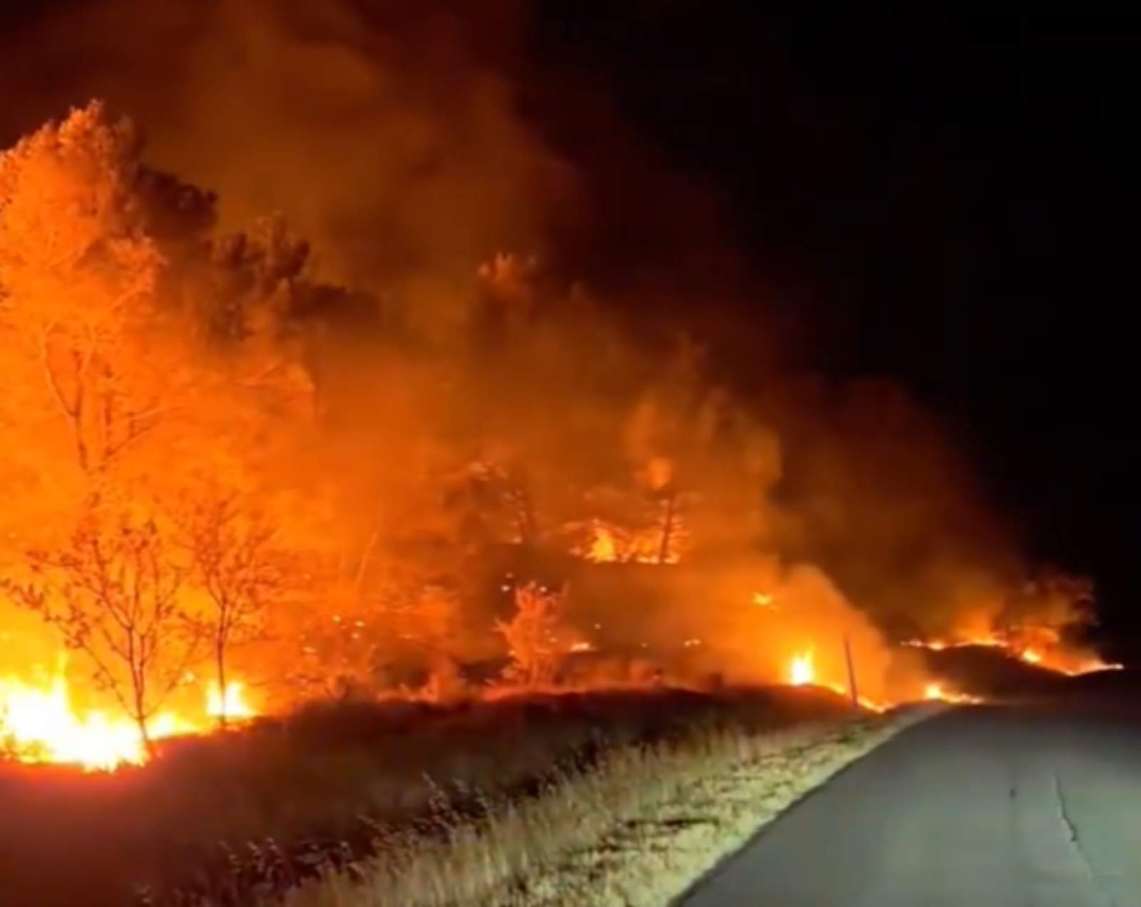 Incendio forestal en la Catalunya Nord: cerca de 1.000 hectáreas quemadas en Trevillac